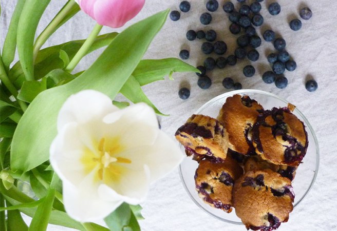 blueberry-muffin-recipe